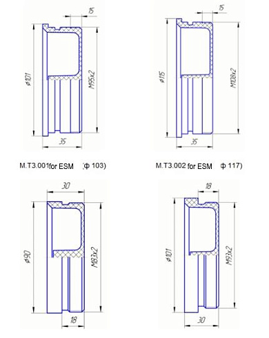 Access caps of ESP system